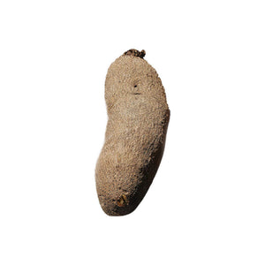 1 Big Yam $ 20