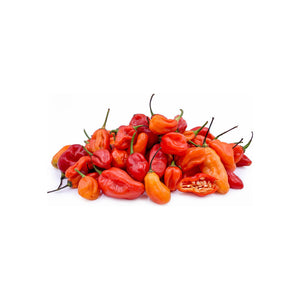 African Red Hot Pepper