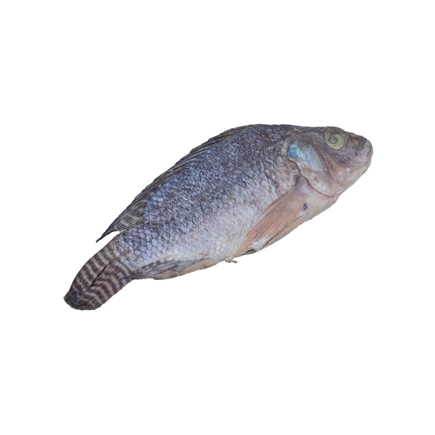 Kobi Fish Salted Tilapia