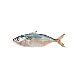 MACKEREL 1 pc. Fish