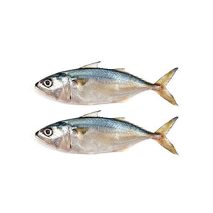 Mackerel 2 pieces Fish