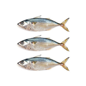 Mackerel 3 Pcs